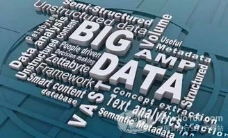 DMX攜手數博會暨物聯網高峰論壇隆重召開，共話物聯網技術研發與應用新篇章